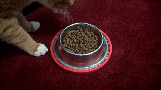Cat or dog bowl carpet grip