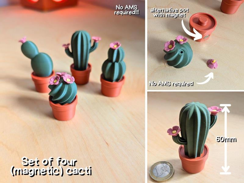 Four assembleable (magnetic) cacti No AMS required