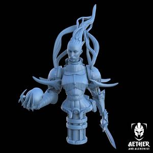 Xilara Nightreaver Bust