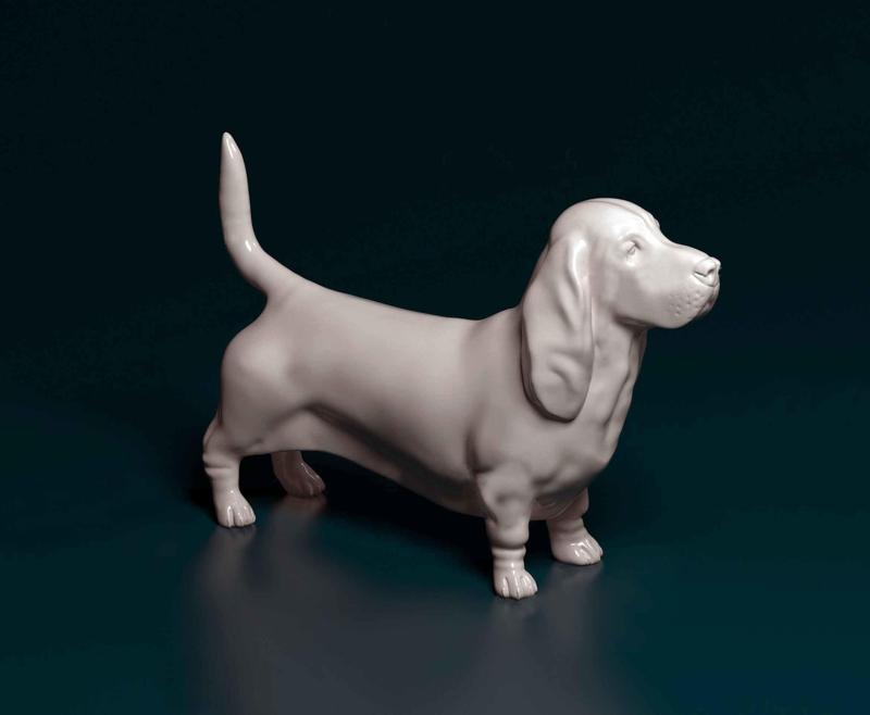 Basset hound dog