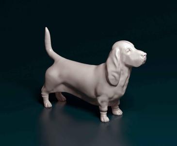 Basset hound dog