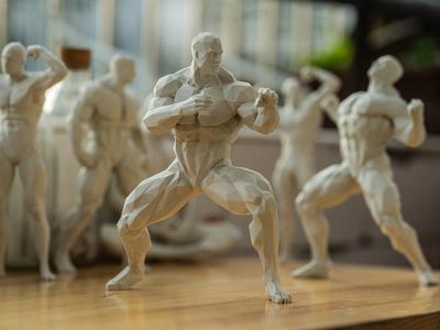 Muscle Man Series 006