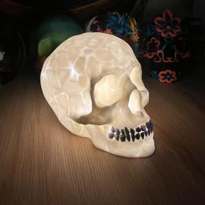 Cracked Skull [Lamp]