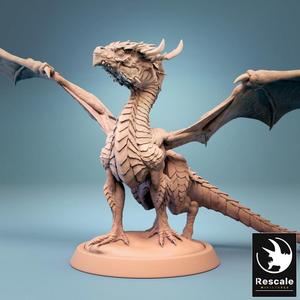 Baby Dragon