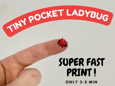 Tiny Pocket Ladybug - Super Fast Print