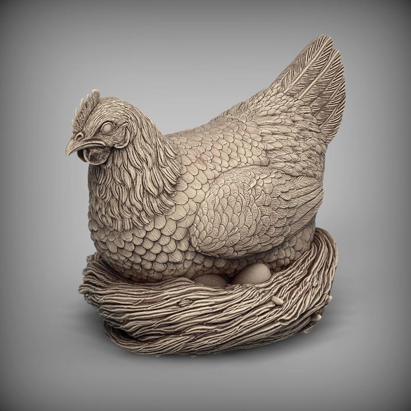 Hen on the nest