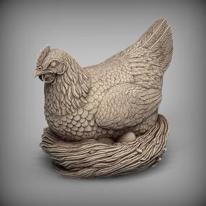 Hen on the nest