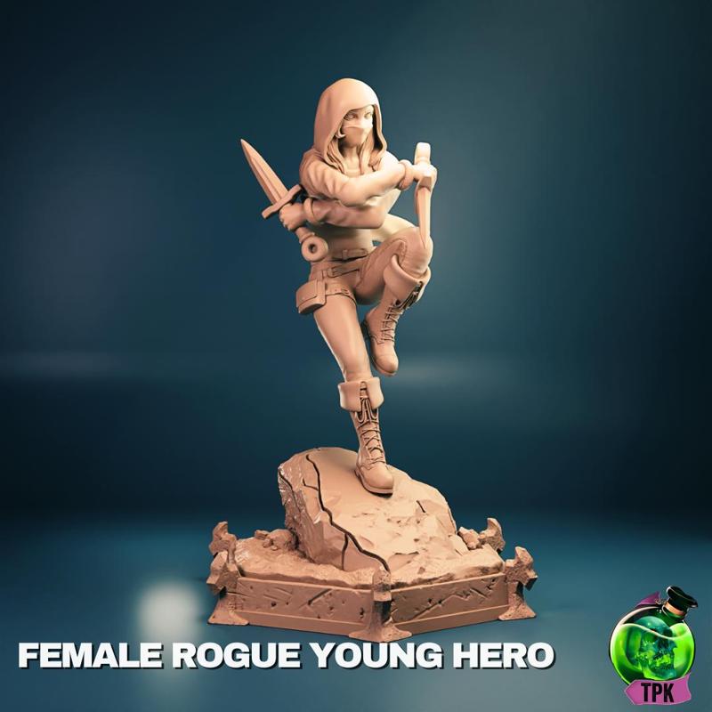 Female Rogue Young Hero (stealth)