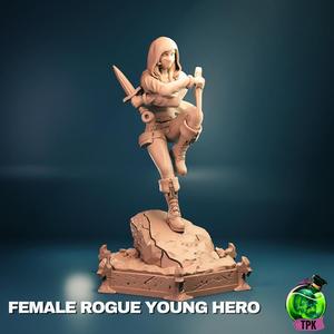 Female Rogue Young Hero (stealth)