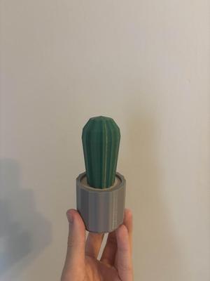 Snap Together Cactus Pot (Can Print Pieces Seperately)
