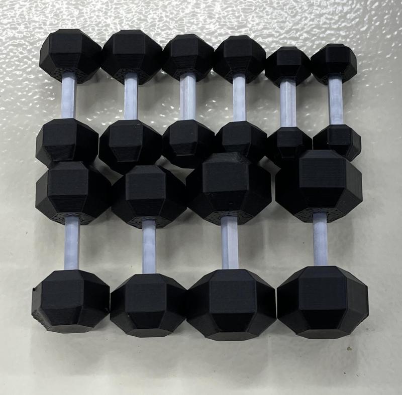 Dumbbells for Dummy 13