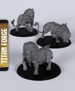Lions - With Free Dragon Warhammer - 5e DnD Inspired for RPG and Wargamers