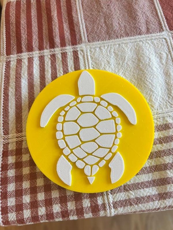 Turtle Coaster