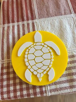 Turtle Coaster