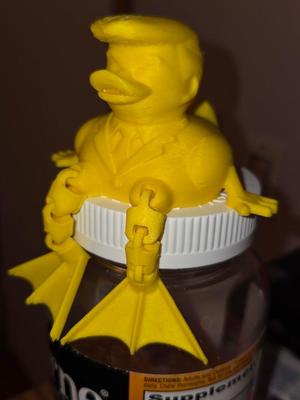 President Duck