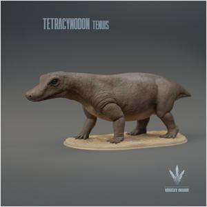 Tetracynodon tenuis : The Miniature Synapsid