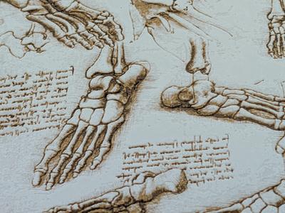 DaVinci's Anatomy - Anatomy of the Foot Filament Painting