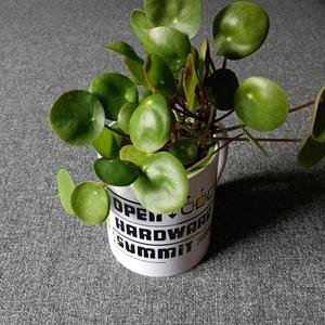 Self-watering mug flowerpot