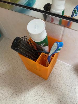 Tooth Brush Container