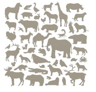 Animals wallart 46 models