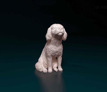 Cavalier King Charles spaniel