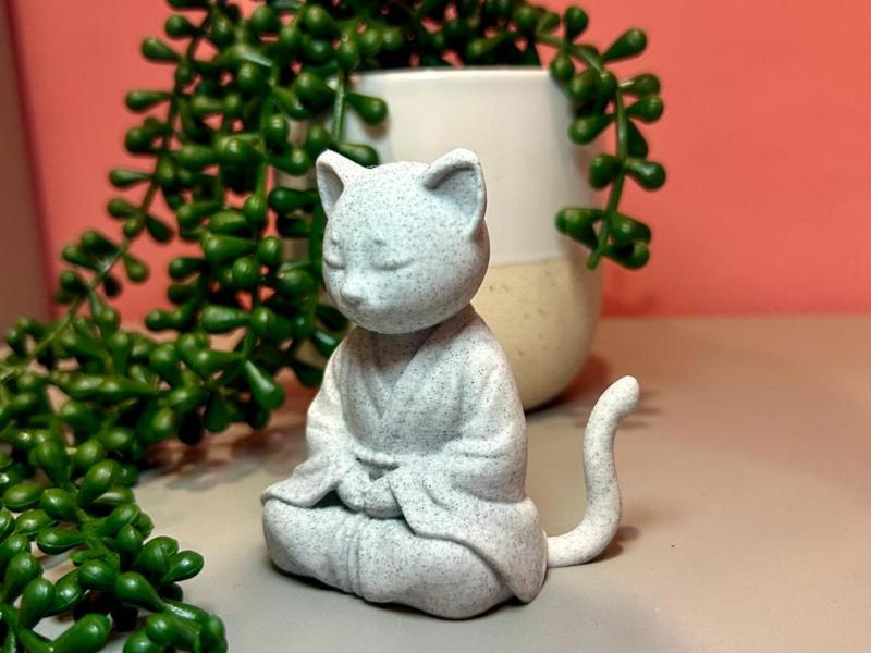 Cat meditating
