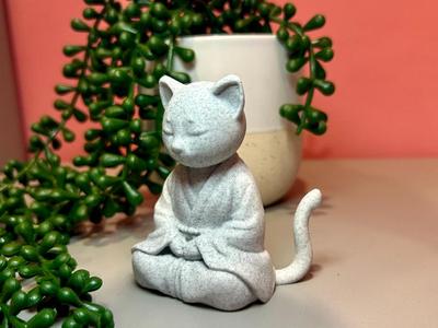 Cat meditating