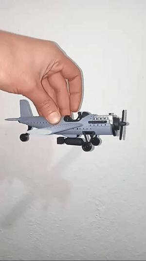 WARRIOR PLANE