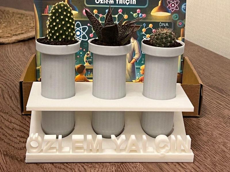 Test tube-shaped cactus planter Set with Stand