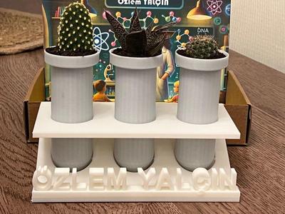 Test tube-shaped cactus planter Set with Stand