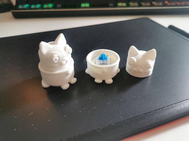 Key switch fidget cat