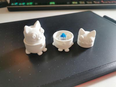 Key switch fidget cat