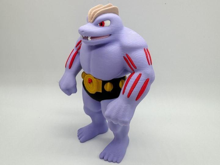 Machoke Multicolor