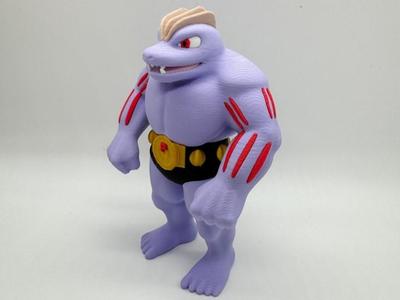 Machoke Multicolor