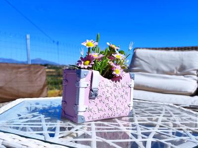 LV-Inspired Trunk Planter