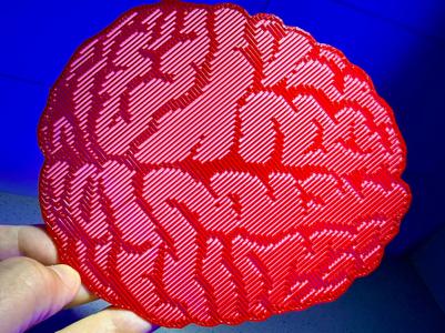 Holographic Effect Brain 