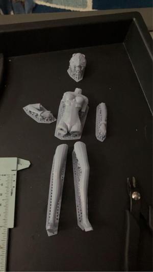 cut ayanami model