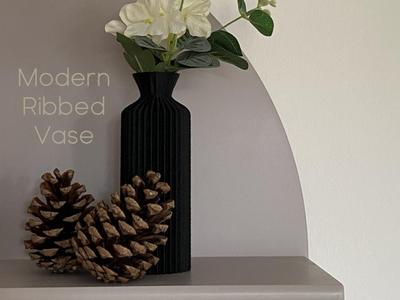Modern Ribbed Vase