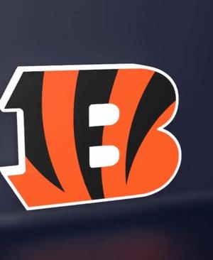 Cincinnati Bengals - LED Strip compatible