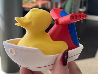 cruise duck