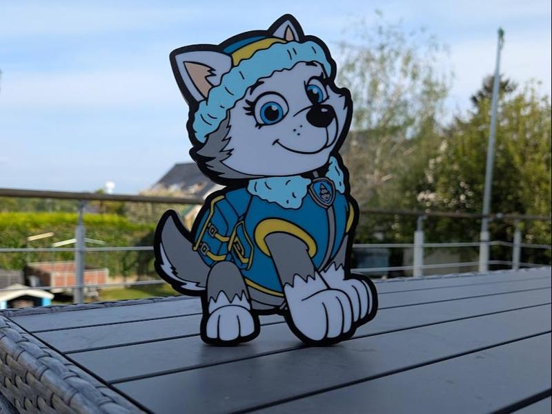 Paw Patrol lightbox