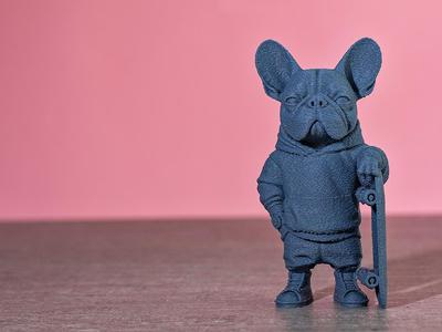 Bully Gang V12 Mr. Skater French Bulldog