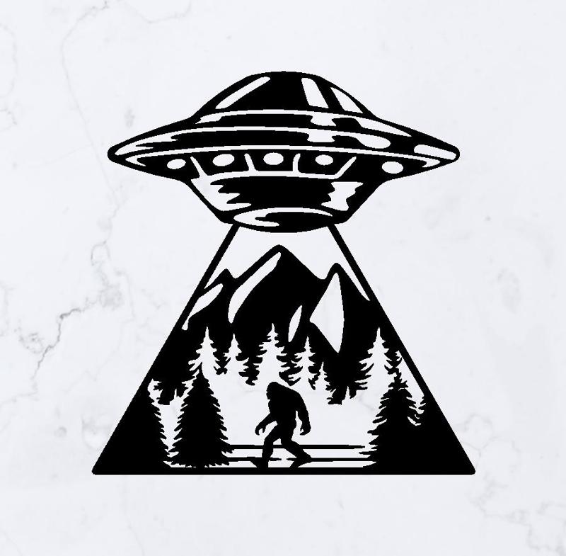 UFO Abduction