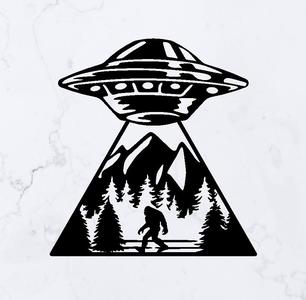 UFO Abduction