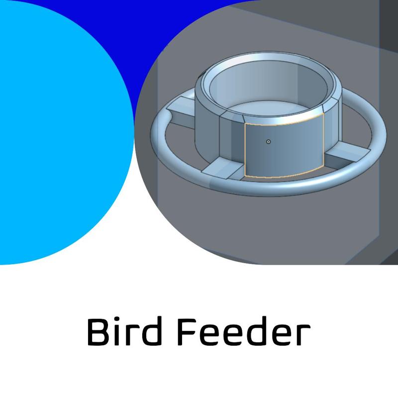 Bird Feeder 🦜