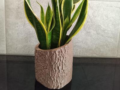 Wooden log shaped orchid container vase