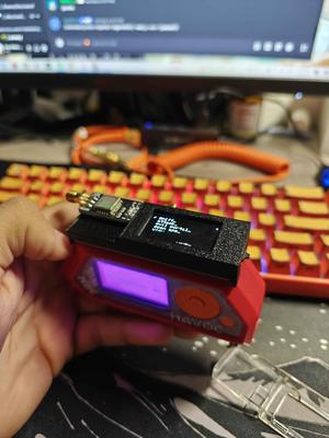 Game Over flipper zero board Case