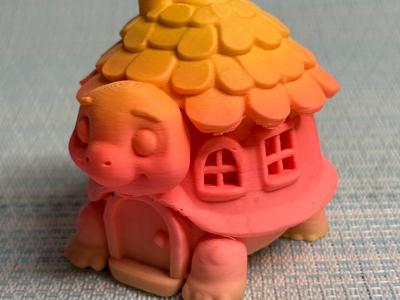 Turtle house