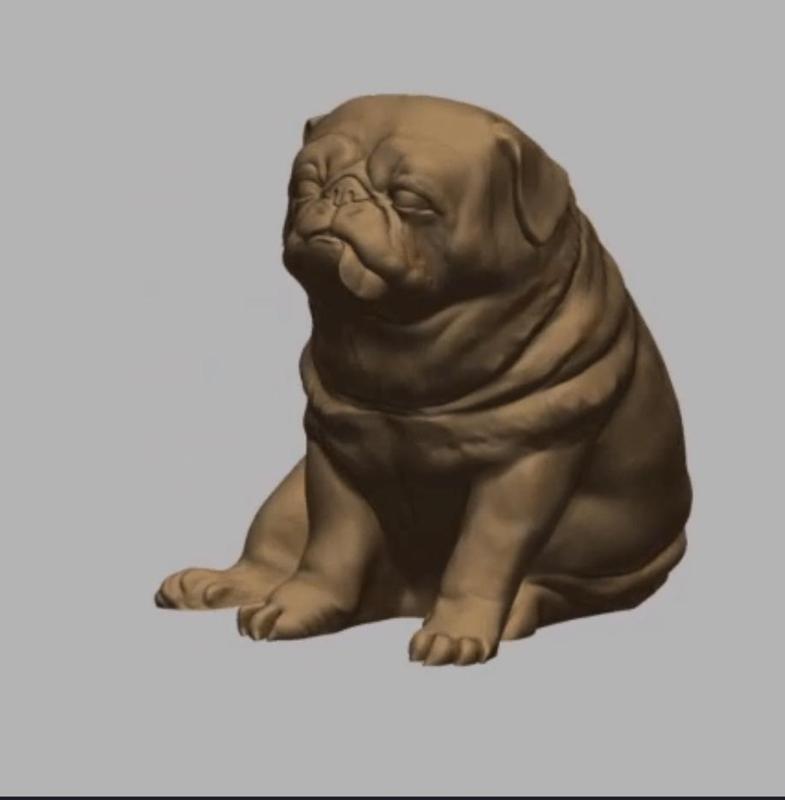 fat baby pug (lifesize)