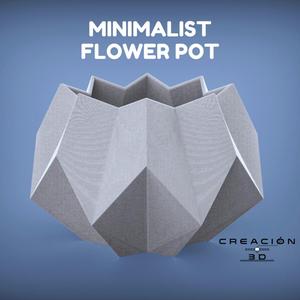 Maceta Minimalista Moderna ?